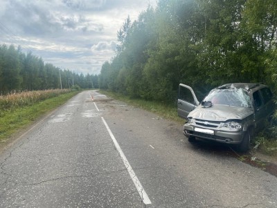 В Тверской области в опрокинувшемся авто погиб мужчина - новости ТИА