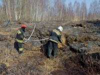 За выходные в Тверской области пожарные потушили полсотни палов сухой травы - Новости ТИА