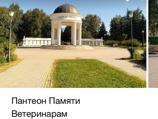 <p></p>
