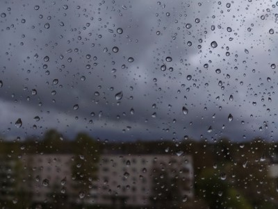 19 июня в Тверской области пройдет дождь с грозой - Новости ТИА