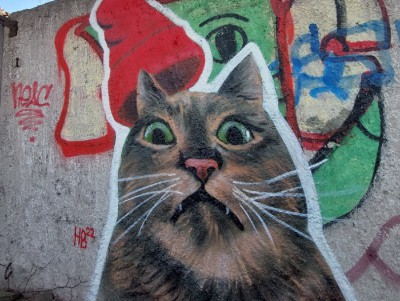 Тверская уличная художница нарисовала "удивление" от прочтения новостей - Новости ТИА