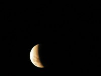 В ночь на 11 января можно будет наблюдать первое в 2020 году лунное затмение - новости ТИА