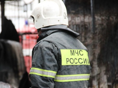В Тверской области пожарные вынесли из огня двух мужчин  - новости ТИА
