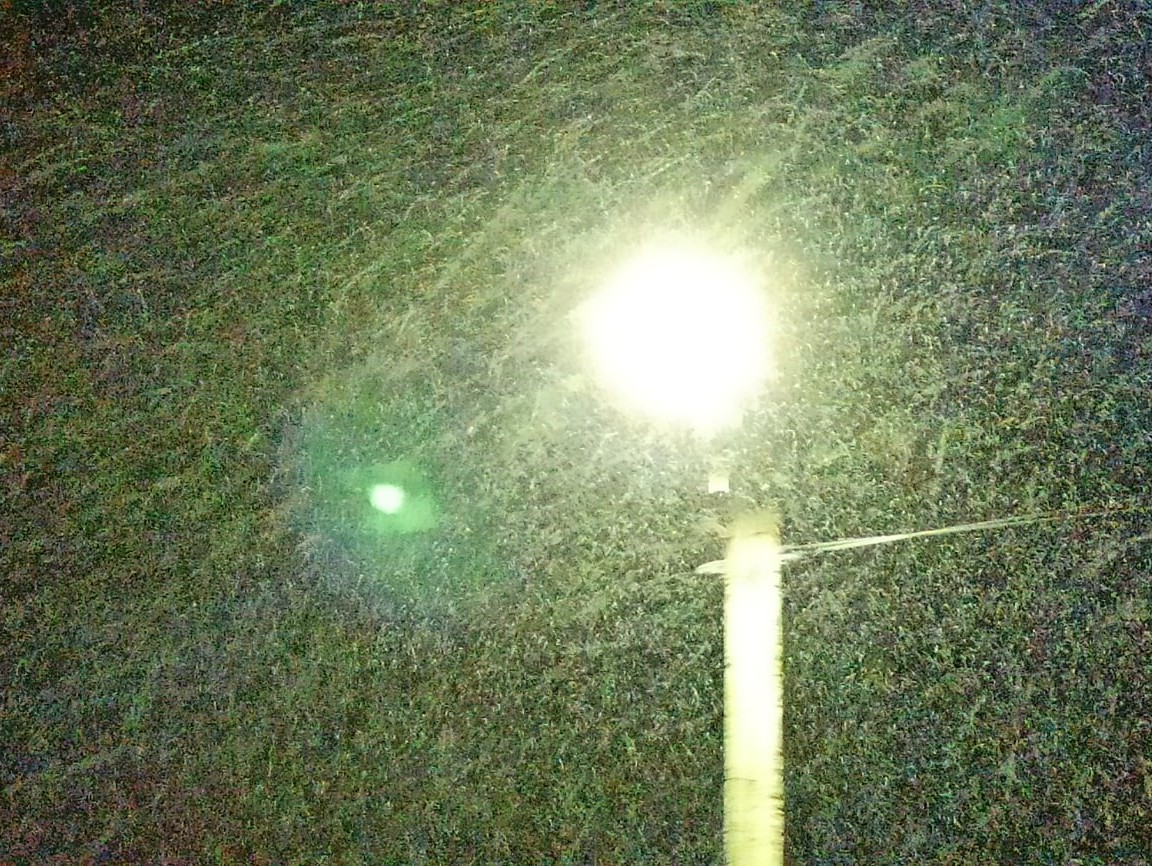 <p></p>