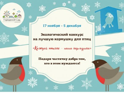 В Твери детей приглашают принять участие в конкурсе кормушек для птиц - Новости ТИА