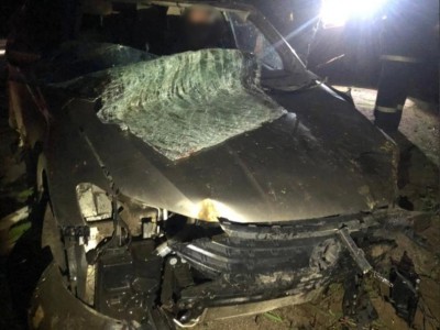 Два пассажира пострадали в аварии с лосем в Тверской области - новости ТИА