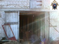 В Тверской области девочка упала с лошади и получила перелом теменной кости - Новости ТИА