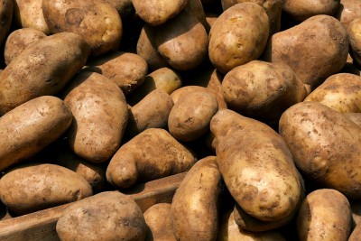 Супермаркетам предложили продавать картофель "экономкласса" - Новости ТИА