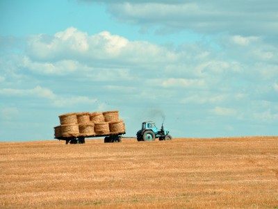В Торжке мужчина обокрал ферму на её же тракторе - новости ТИА