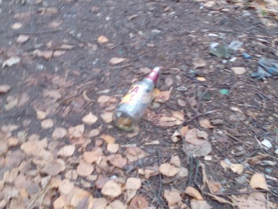 Стеклянные бутылки валяются везде - Народные Новости ТИА