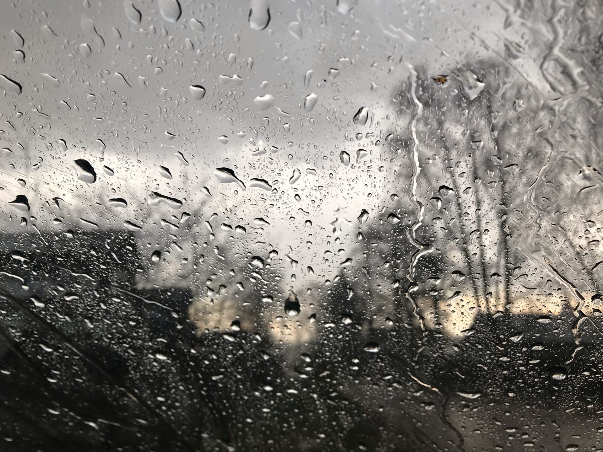 <p></p>