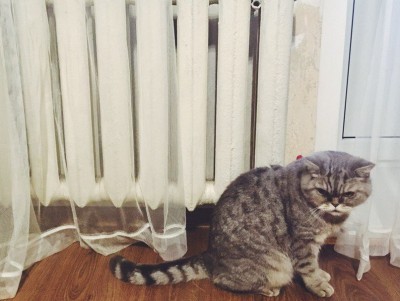 В администрации Твери рассказали, когда выключат отопление - Новости ТИА