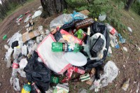 С жителей деревни Тверской области незаконно брали деньги за вывоз мусора - Новости ТИА