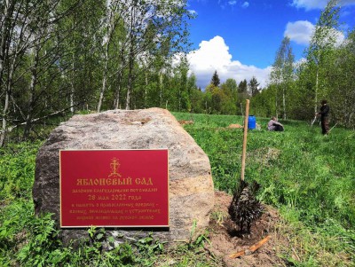 В Бологовском районе заложили яблоневый сад в память о предках-созидателях - Новости ТИА