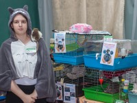 В Твери пройдет благотворительный фестиваль в помощь хорькам, крысам и морским свинкам - новости ТИА