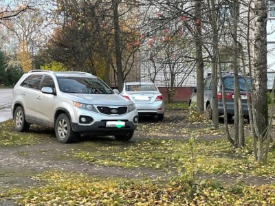 Глава Ржева запустил флешмоб против автомобилистов, паркующихся на газонах - Новости ТИА