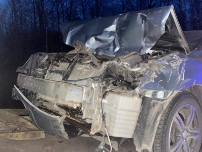 В Тверской области произошла авария, так как водитель пропускал лося - новости ТИА