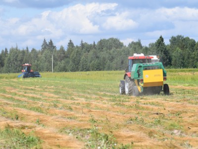 В Тверской области утвердят план подготовки сезонных сельхозработ  - новости ТИА