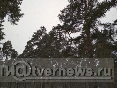 В Тверской области 19 октября сильно похолодает и может пойти снег - новости ТИА