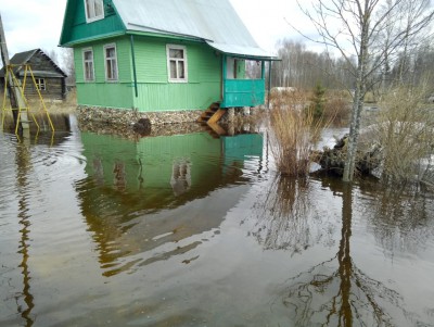 Под Тверью затопило садоводческое товарищество - Новости ТИА