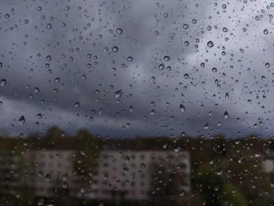 В Тверской области пройдут сильные дожди - Новости ТИА