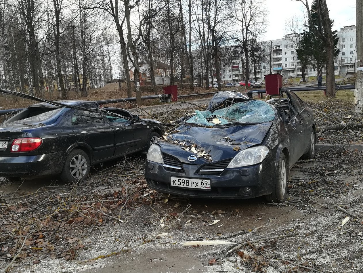 В Андреаполе дерево повредило 4 машины - ТИА