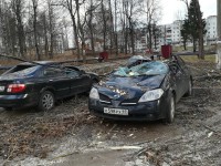 В Андреаполе дерево повредило 4 машины - Новости ТИА