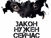 "Закон нужен сейчас!" Тверь выйдет на Всероссийский митинг в поддержку закона о защите животных - Новости ТИА