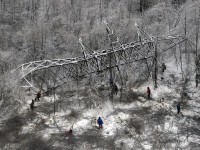 Электросети в Конаковском районе, где упала опора ЛЭП, региональные власти намерены забрать в собственность - Новости ТИА
