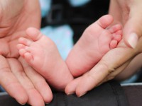 В Твери в 2017 году родились Пандора и Одиссей - Новости ТИА
