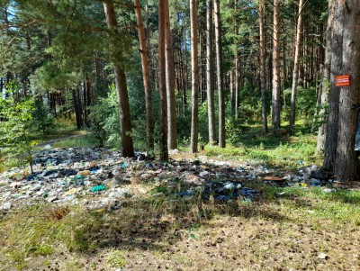 Активисты ОНФ добиваются очистки от мусора берега Волги в Тверской области - Новости ТИА