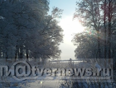 В Тверскую область после сильного снегопада придут морозы - новости ТИА