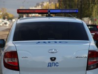 В Тверской области в аварии с лосем пострадали три человека - новости ТИА