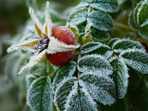 Фото: http://gorod48.ru/ Фото: http://gorod48.ru/