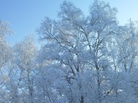 На Тверскую область надвигается мокрый снег и сильный ветер - Новости ТИА