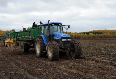 В Тверской области подвели итоги сельхозработ и урожая - Новости ТИА