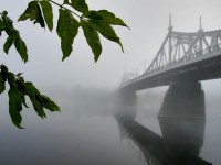 На выходные в Тверской области обещают дожди и грозы - Новости ТИА