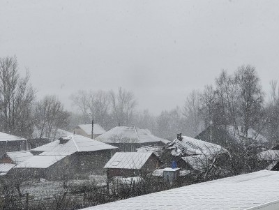 Ночью в Тверской области выпал снег - новости ТИА