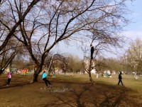 В Твери откроется фотовыставка "Весеннее настроение" - Новости ТИА