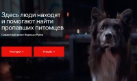 У "Яндекса" появился сервис по поиску пропавших домашних питомцев  - Новости ТИА