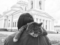 Матушка Наталья и 70 монастырских котов - Новости ТИА