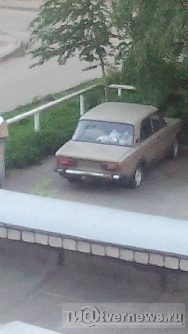<p></p>