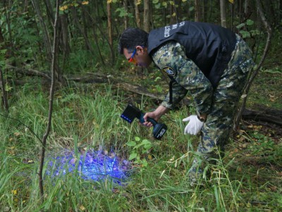 Следователи раскрыли убийство мужчины, чьи костные останки нашли в лесу - новости ТИА