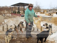 Инженер собачьих душ: как бывший полицейский бросила всё, взяла кредит и построила приют в глухой деревне - Новости ТИА