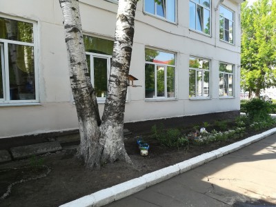 На детской площадке в Твери береза упала на бабушку с детьми - Новости ТИА