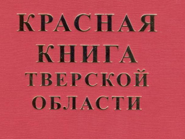 <p></p>