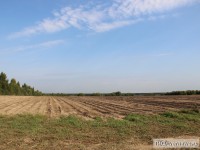 В Тверской области в 2019 году у собственников изъяли 28 участков сельскохозяйственных земель - новости ТИА