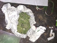 У жителя Тверской области нашли почти полкилограмма наркотиков - новости ТИА