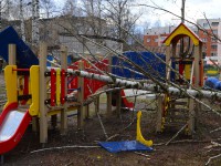 В Твери после штормового ветра деревья упали на территории четырех детских садов - Новости ТИА
