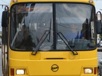 В Бельском районе полностью прекращено транспортное сообщение  - Новости ТИА